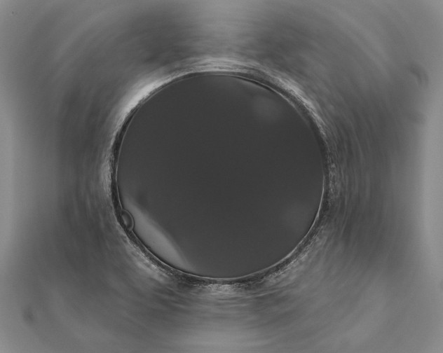 X0000111911463200908101150