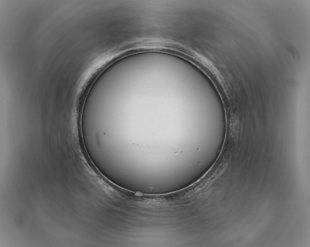 X0000111911464200908101150