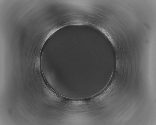 X0000111911465200908101150