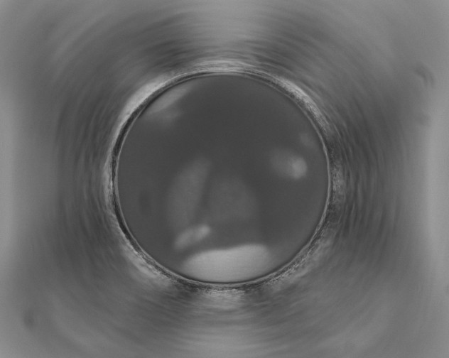 X0000111911466200908101150