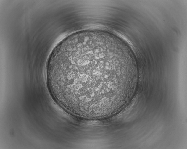 X0000111911467200908101150