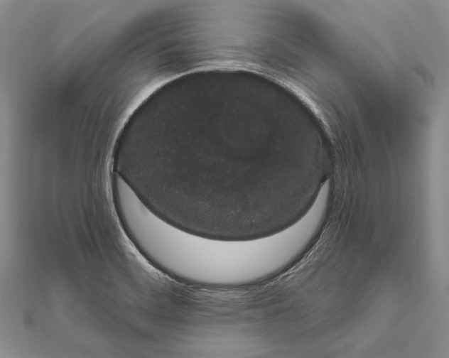 X0000111911468200908101150