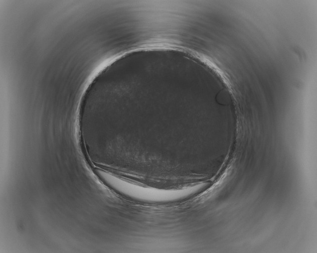 X0000111911469200908101150