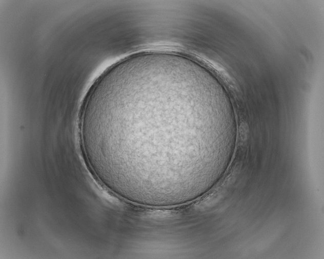 X0000111911470200908101150