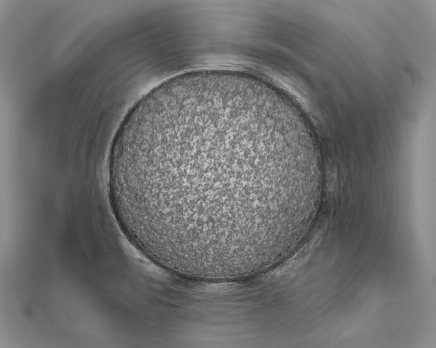 X0000111911471200908101150