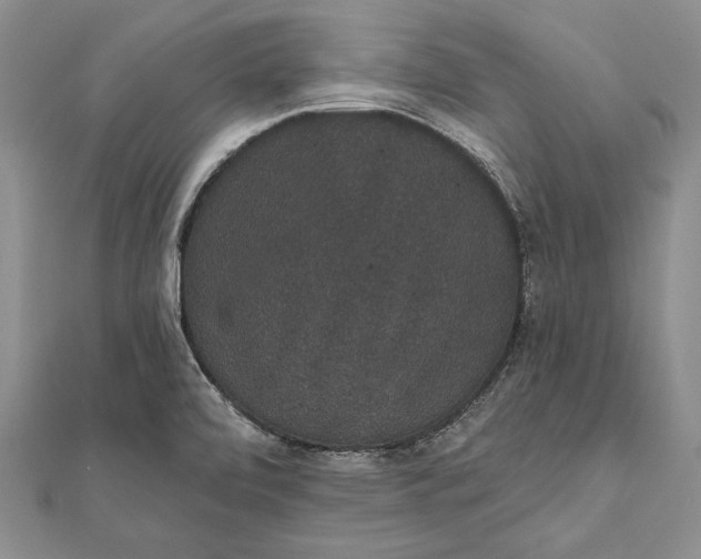 X0000111911472200908101150