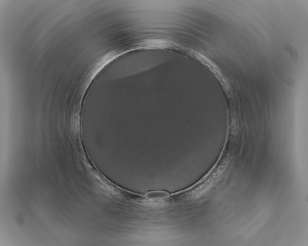 X0000111911473200908101150