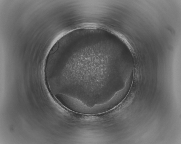 X0000111911475200908101150