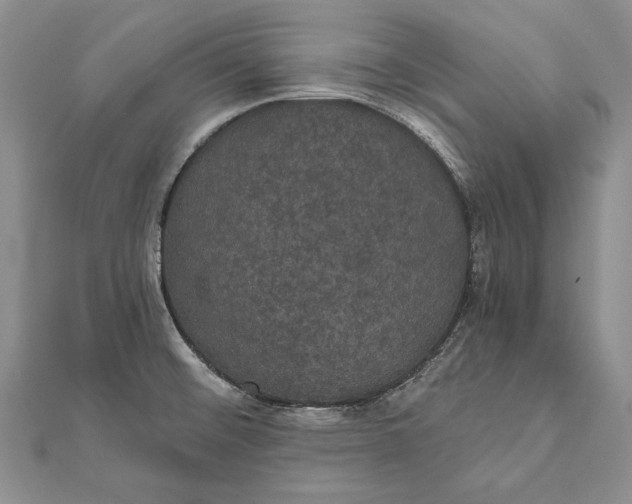 X0000111911476200908101150