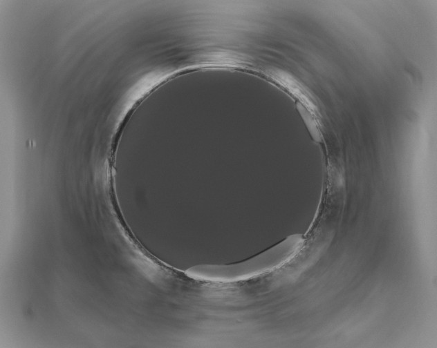 X0000111911477200908101150