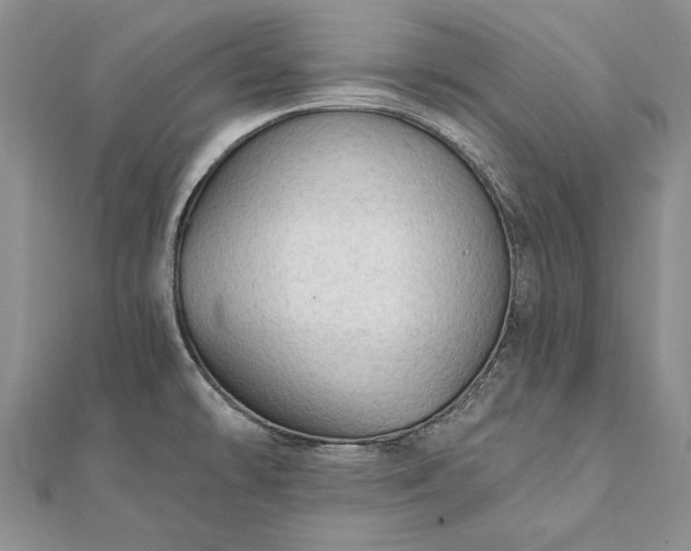 X0000111911478200908101150