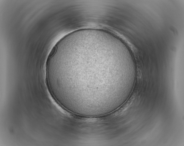 X0000111911479200908101150