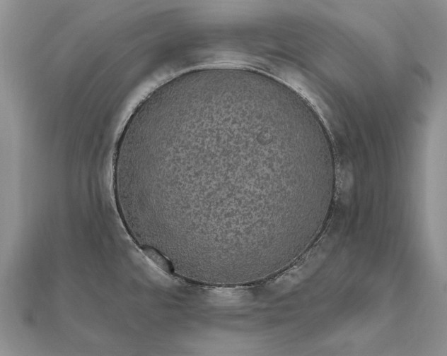 X0000111911480200908101150