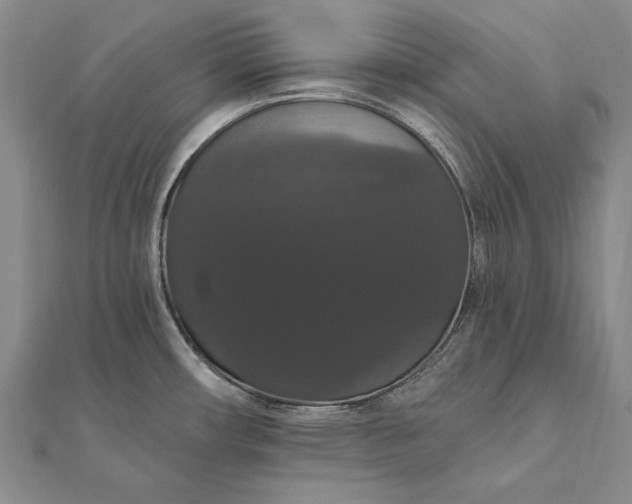 X0000111911482200908101150