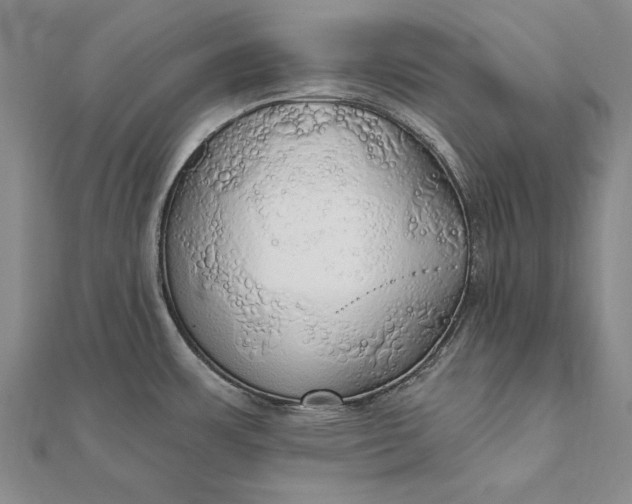 X0000111911483200908101150