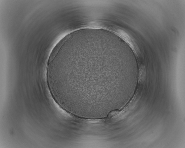 X0000111911484200908101150