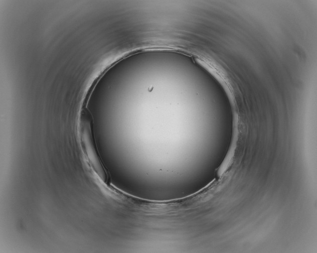 X0000111911485200908101150