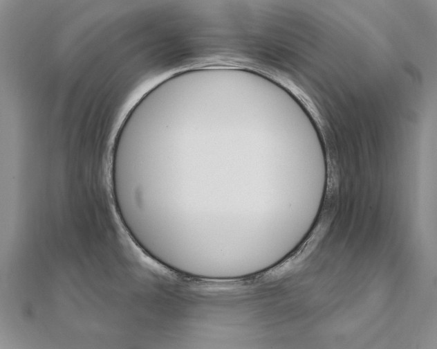 X0000111911486200908101150