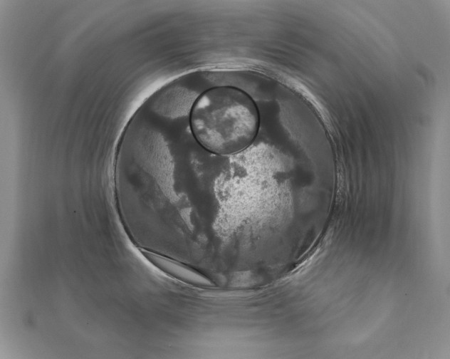 X0000111911487200908101150