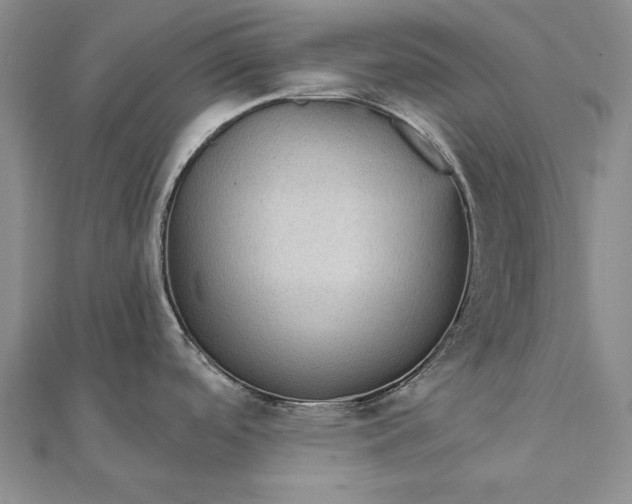 X0000111911488200908101150