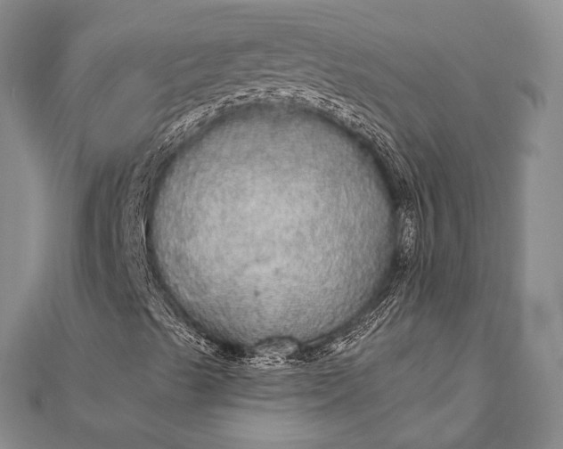 X0000111911489200908101149