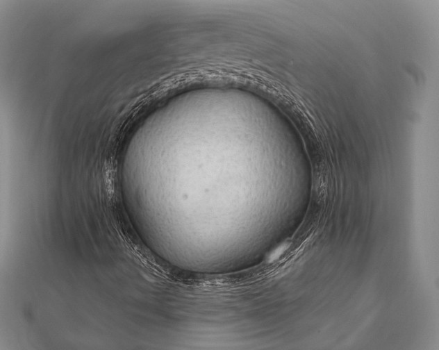 X0000111911490200908101149