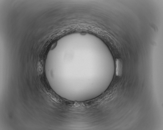 X0000111911491200908101149