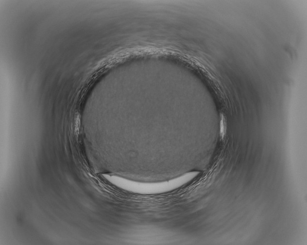 X0000111911492200908101149