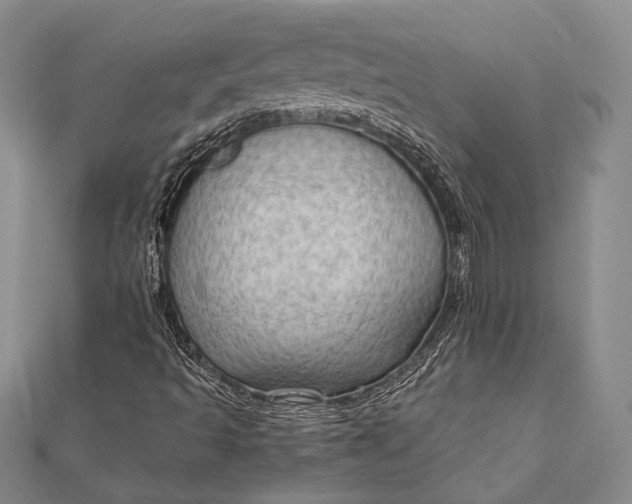 X0000111911493200908101149