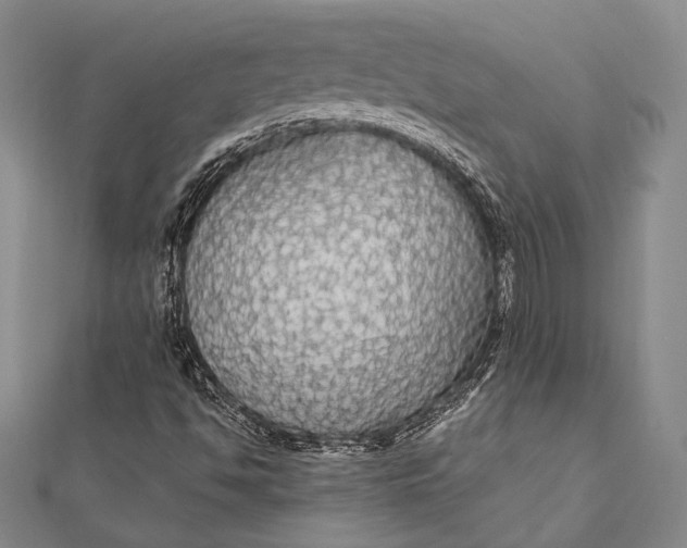 X0000111911494200908101149