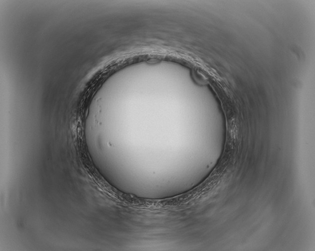 X0000111911495200908101149