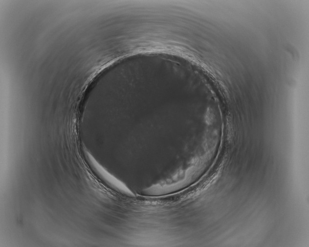 X0000111911497200908101149