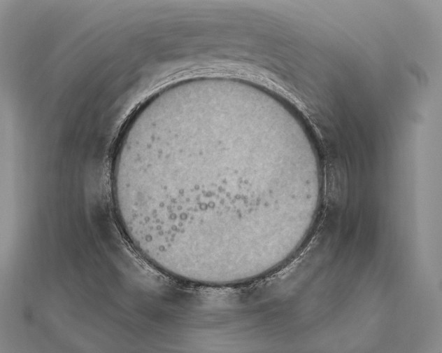 X0000111911498200908101149