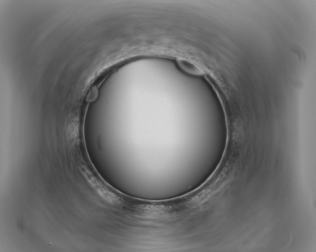 X0000111911499200908101149