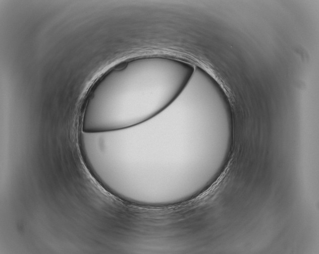 X0000111911500200908101150