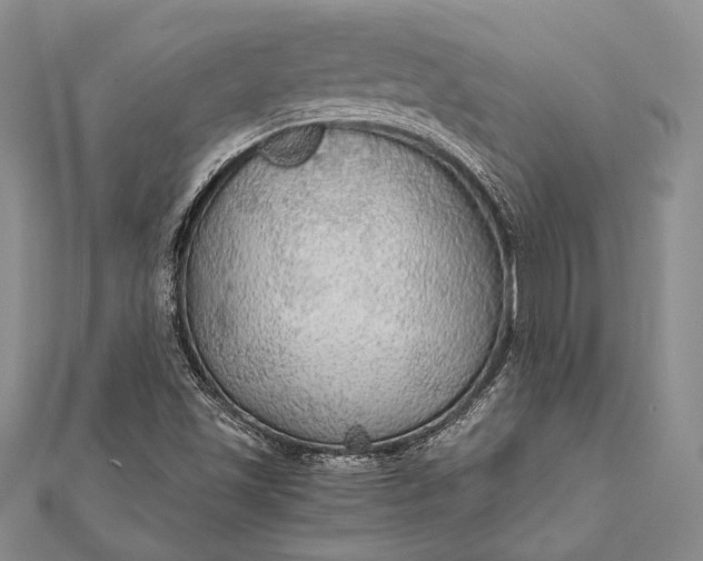 X0000111911501200908101150