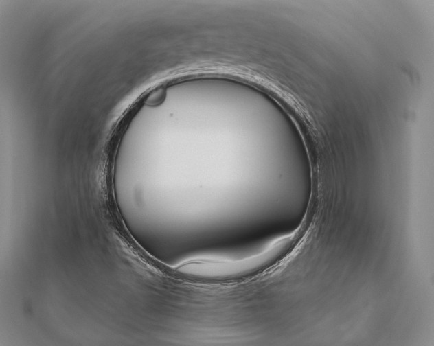 X0000111911502200908101150