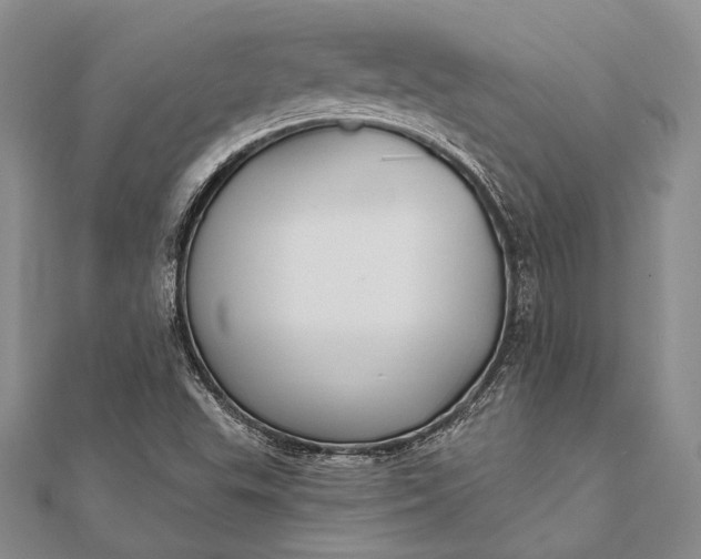 X0000111911503200908101150