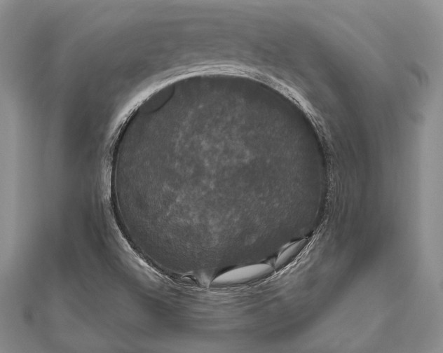 X0000111911504200908101150