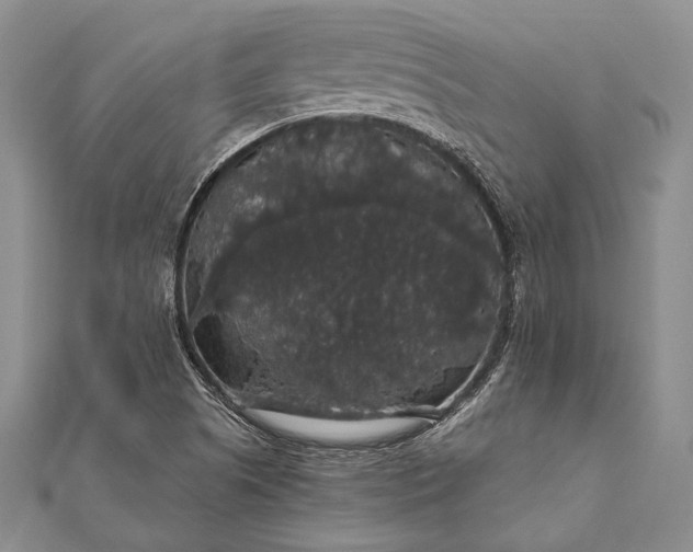 X0000111911505200908101150