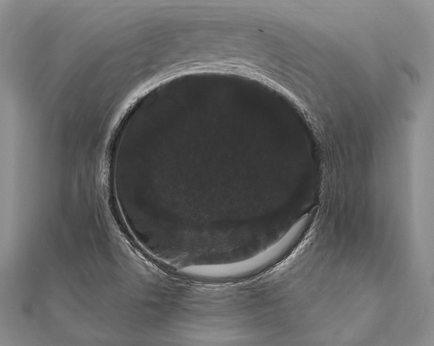 X0000111911506200908101150