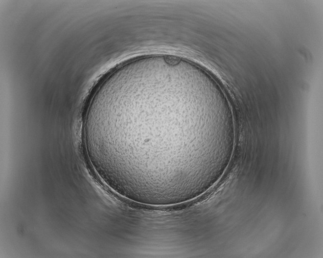 X0000111911507200908101150