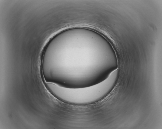 X0000111911508200908101150