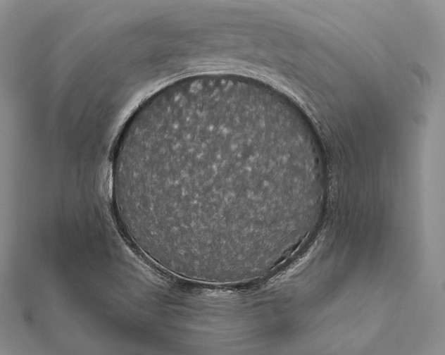 X0000111911509200908101150