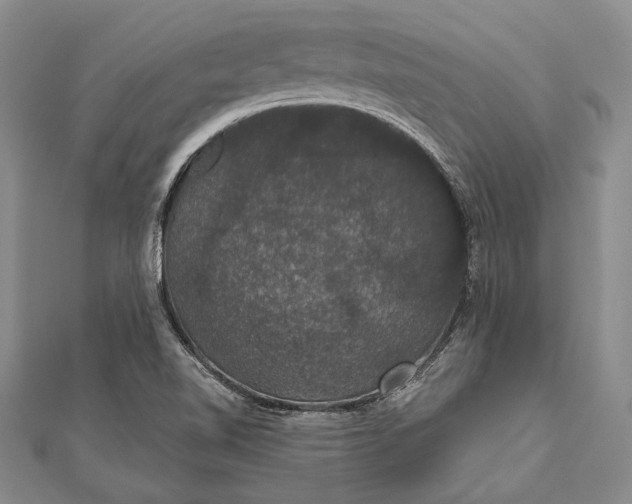 X0000111911510200908101150