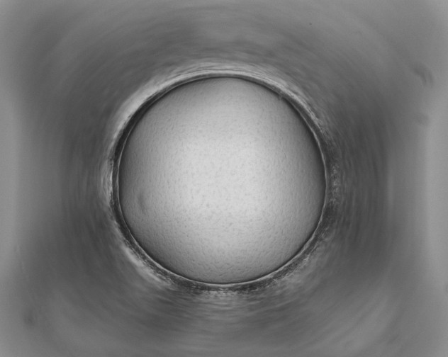 X0000111911511200908101150