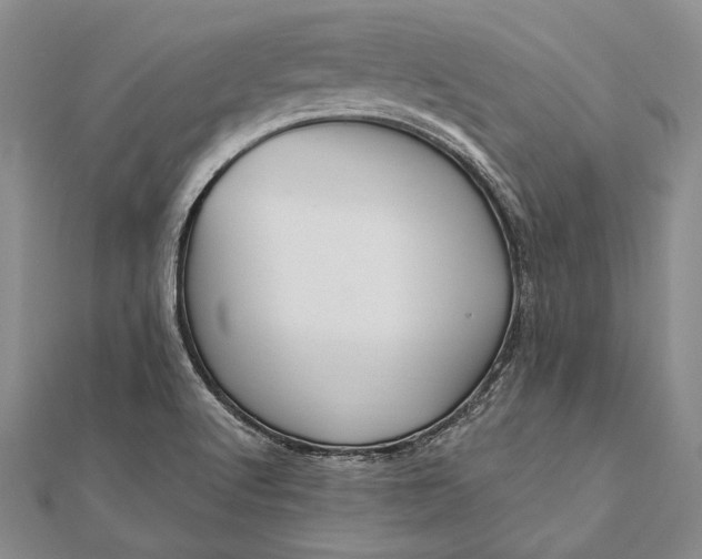 X0000111911512200908101150