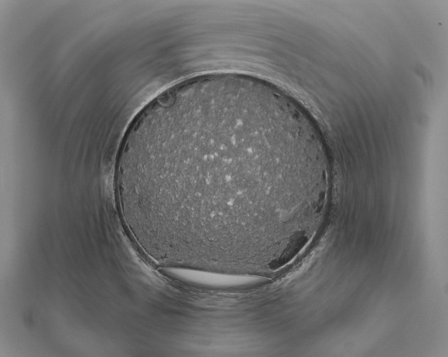 X0000111911513200908101150