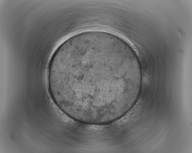 X0000111911514200908101150