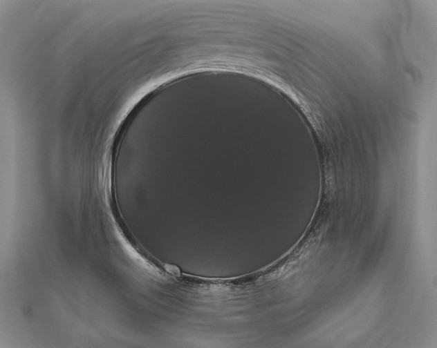 X0000111911515200908101150